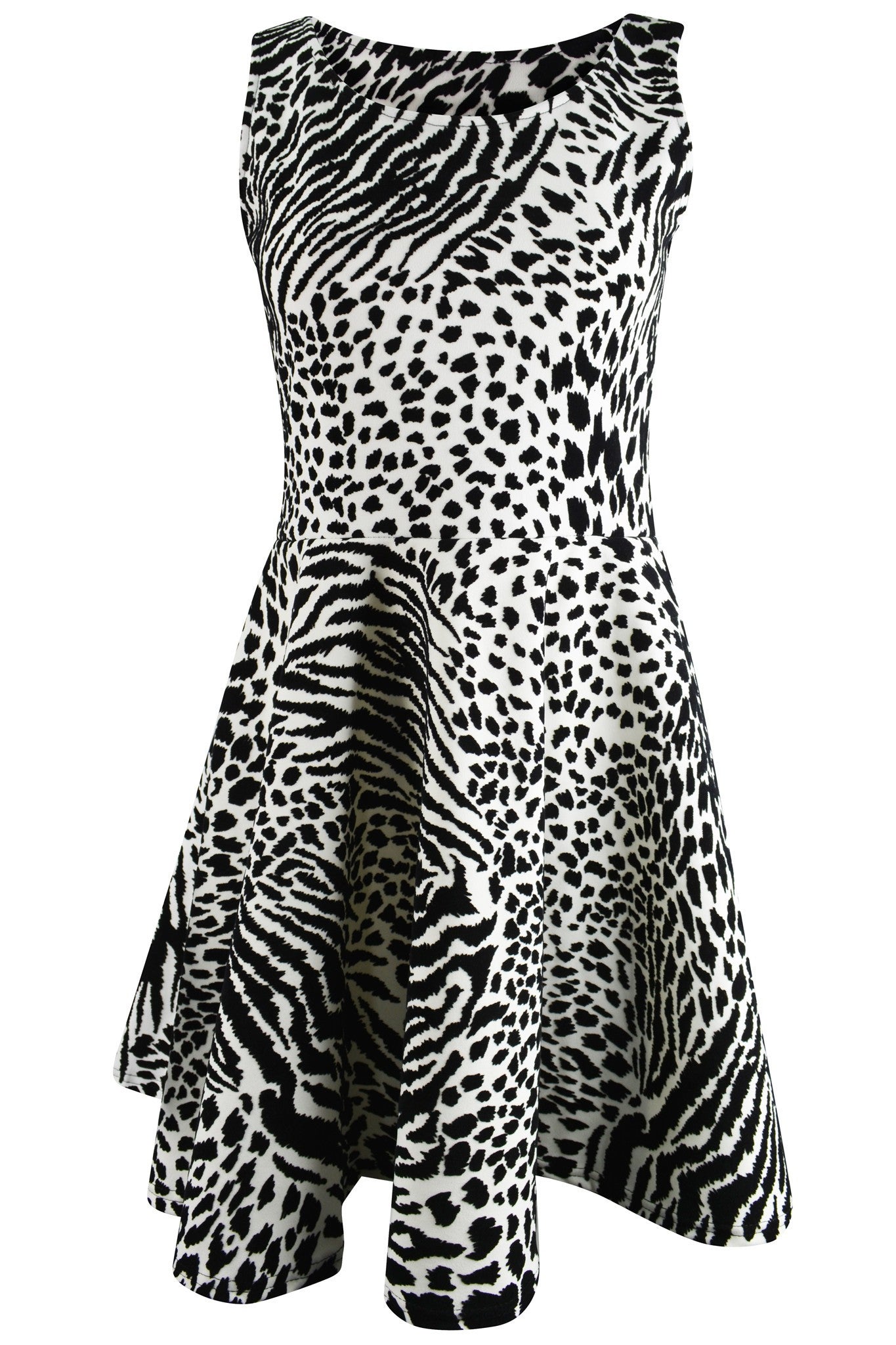 Skater Dress Leopard Print
