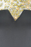 Mini Dress Lace Panel