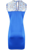 Mini Dress Lace Panel