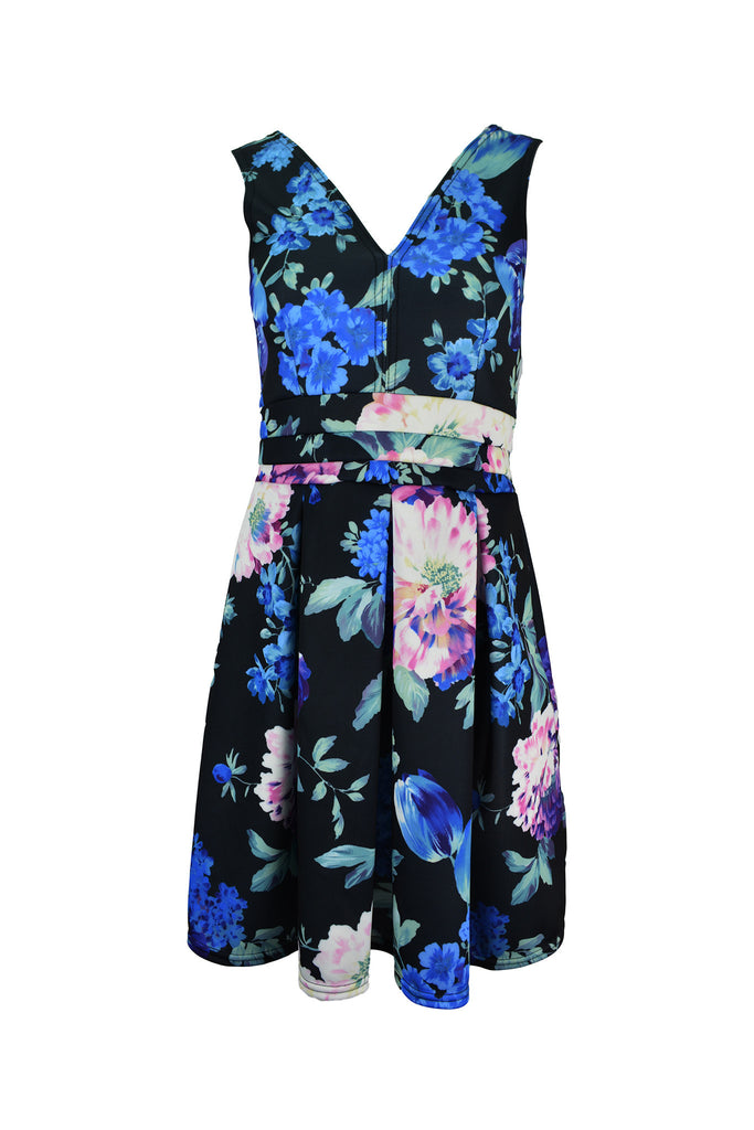 V Neck Floral Skater Dress